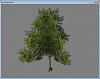 Click image for larger version

Name:	Tree_SampledAlpha_NoLineFix.jpg
Views:	1911
Size:	72.2 KB
ID:	549