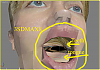 Click image for larger version

Name:	3DSMAX8-textures.png
Views:	6336
Size:	251.0 KB
ID:	165
