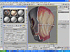 Click image for larger version
Name: 3DSMAX_Ett_texture.gif
Views: 7863
Size: 177.9 KB
ID: 164